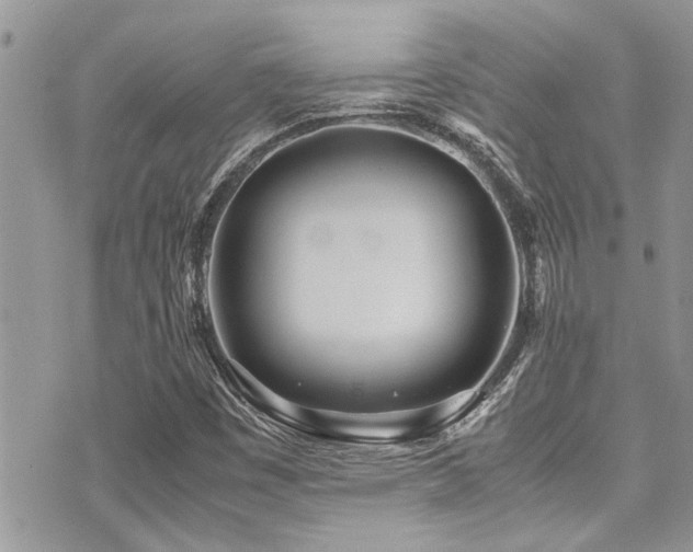 X0000071931449200607071211