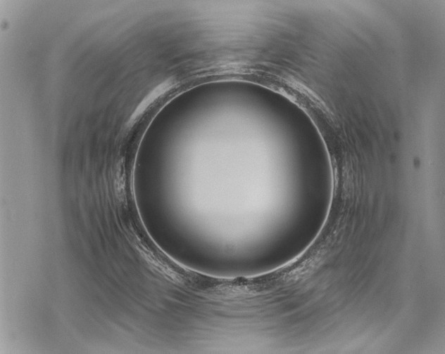 X0000071931450200607071211