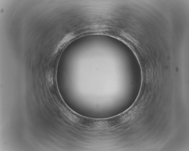 X0000071931451200607071210