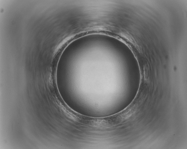 X0000071931452200607071210