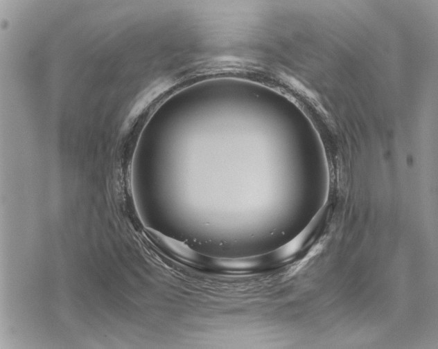 X0000071931453200607071210