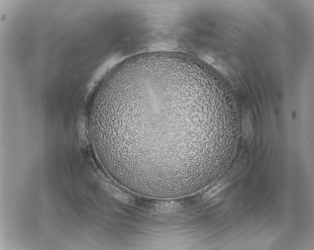 X0000071931454200607071210