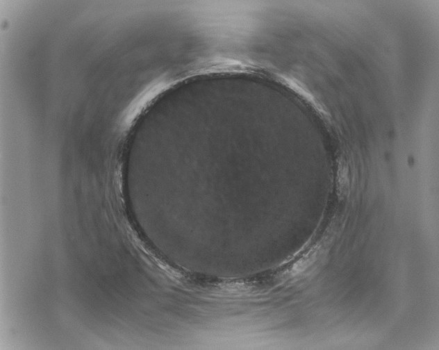 X0000071931455200607071210