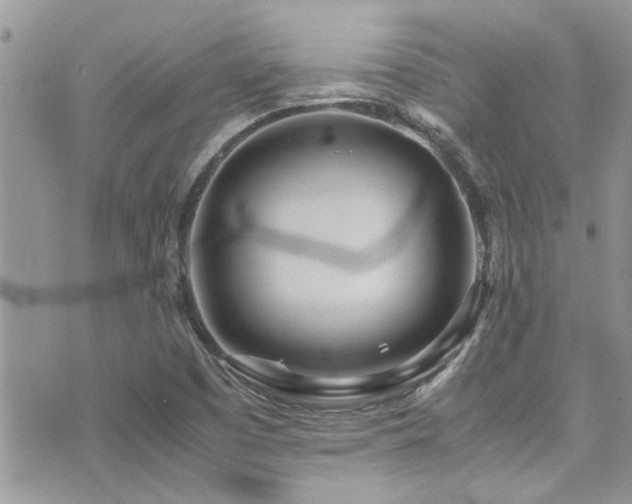 X0000071931457200607071210