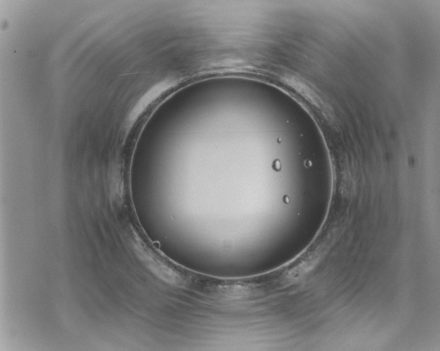 X0000071931458200607071210