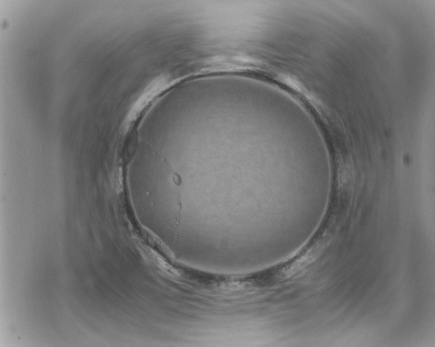 X0000071931459200607071210