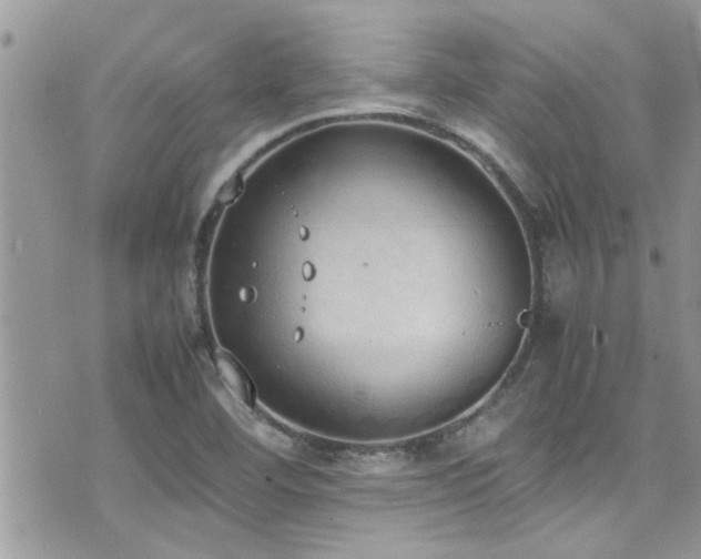 X0000071931460200607071210