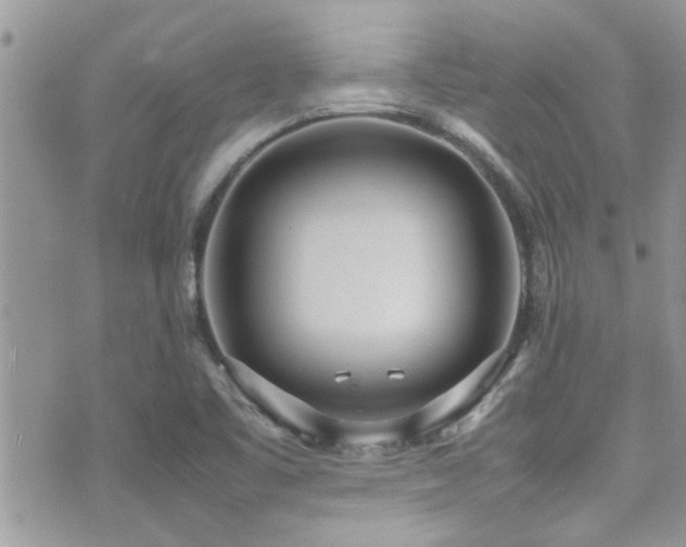 X0000071931461200607071210