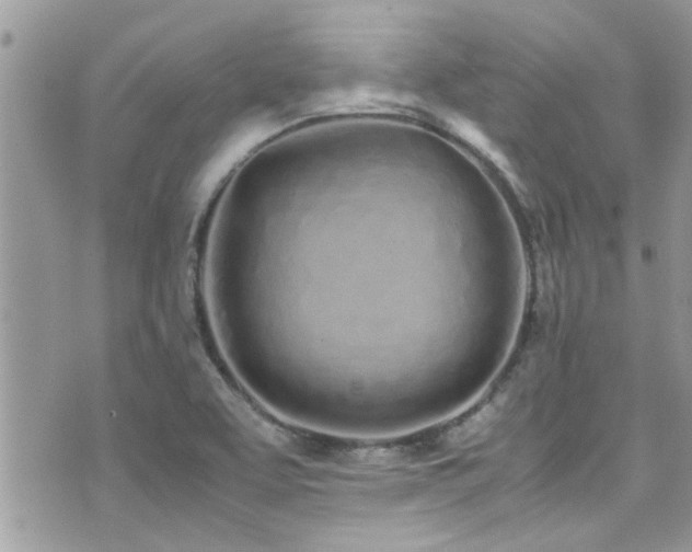 X0000071931463200607071210