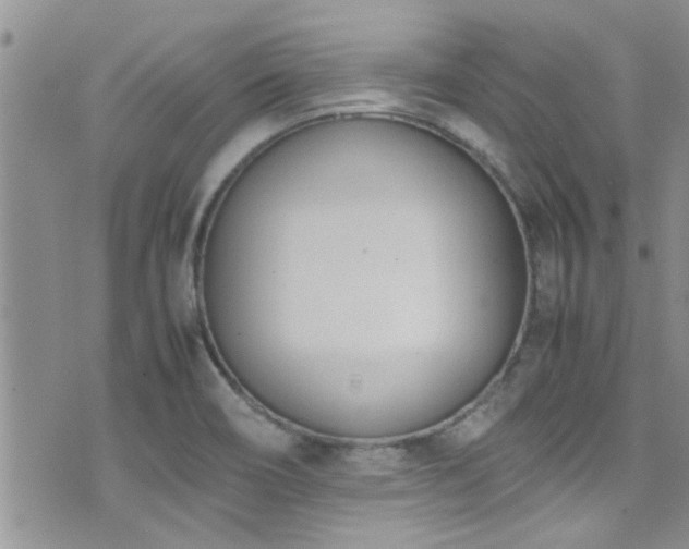 X0000071931466200607071210