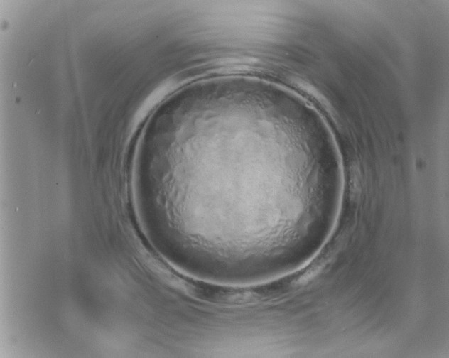 X0000071931467200607071210