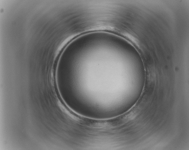 X0000071931468200607071210