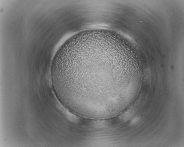 X0000071931470200607071210