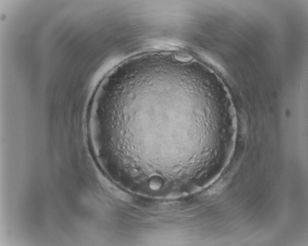 X0000071931471200607071210