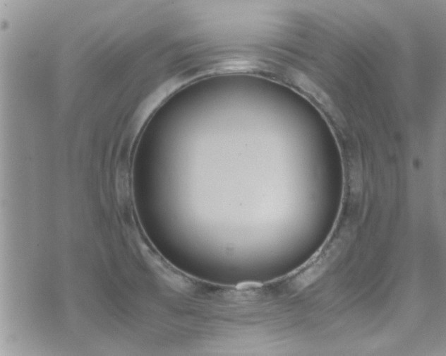 X0000071931473200607071210