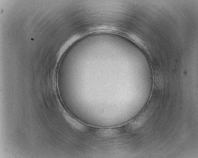 X0000071931474200607071210