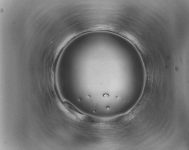 X0000071931476200607071210