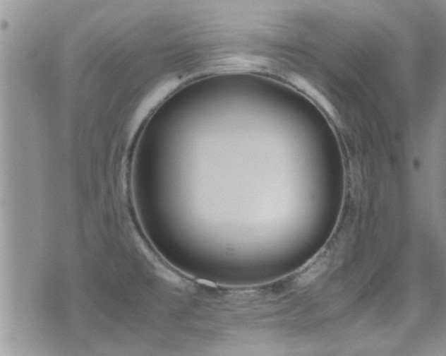 X0000071931477200607071210