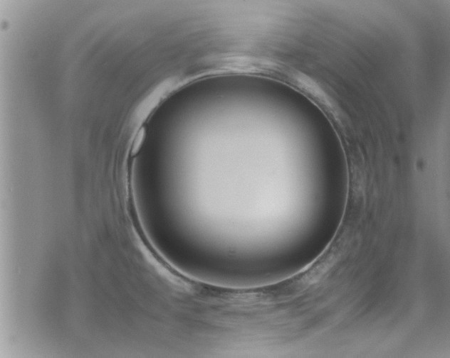 X0000071931479200607071210