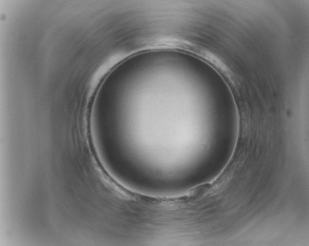 X0000071931480200607071210