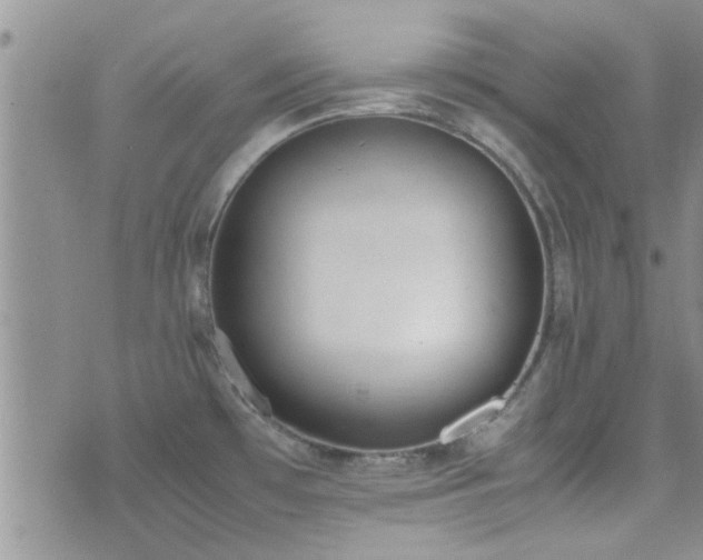 X0000071931481200607071210