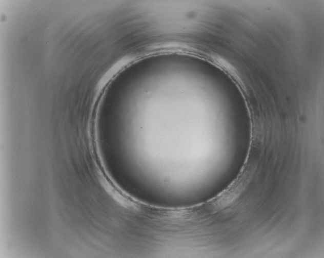 X0000071931482200607071210