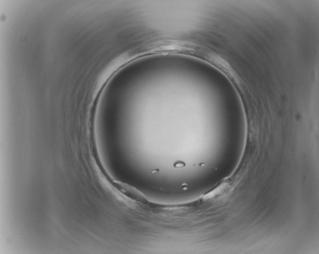 X0000071931483200607071210