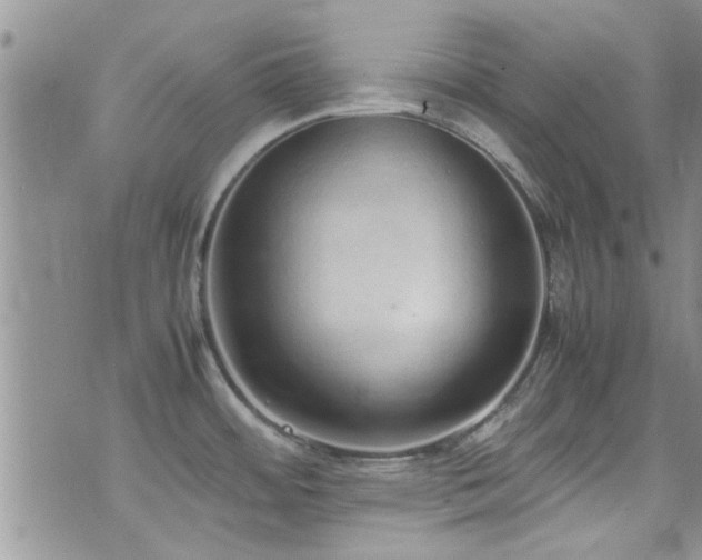 X0000071931484200607071210