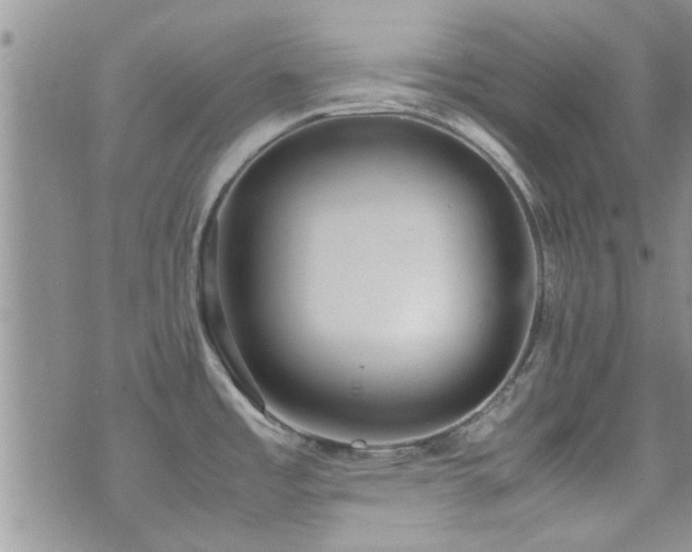 X0000071931485200607071210