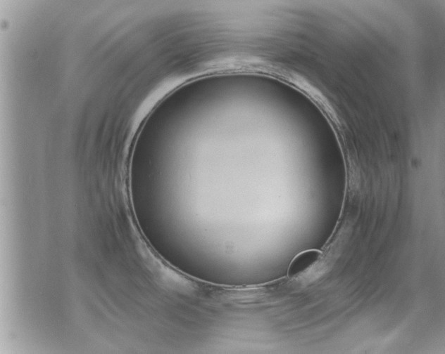 X0000071931486200607071210