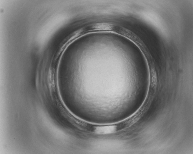 X0000071931487200607071210