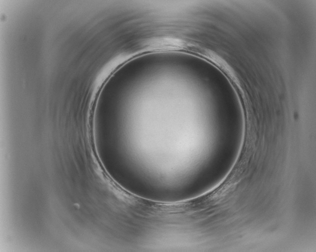 X0000071931488200607071210