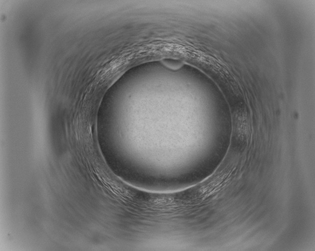 X0000071931489200607071209