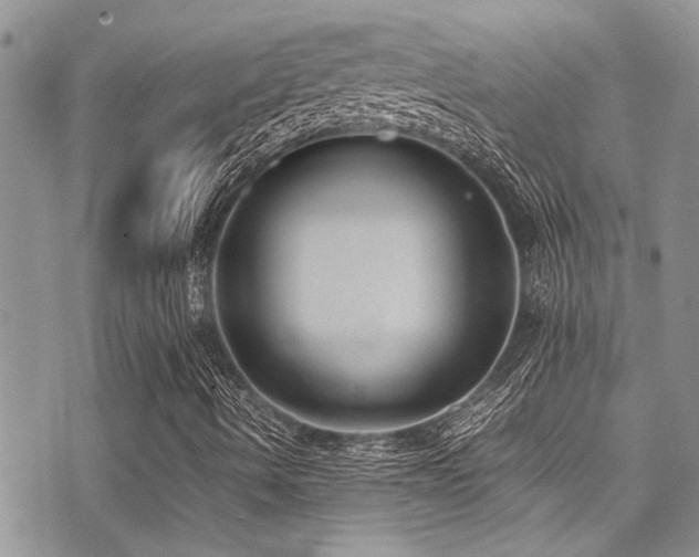 X0000071931490200607071209