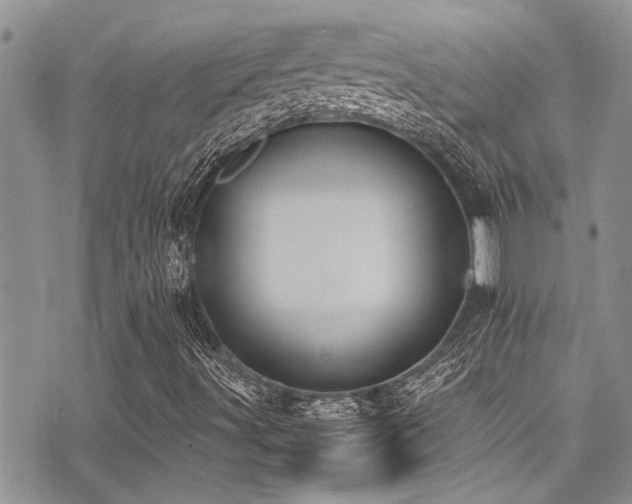 X0000071931491200607071209