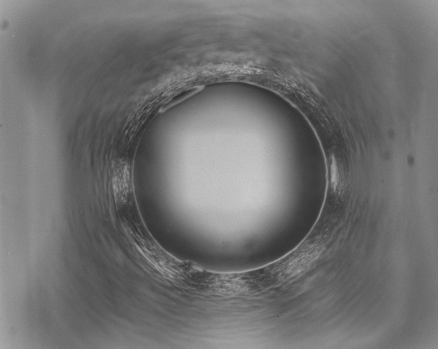 X0000071931492200607071209