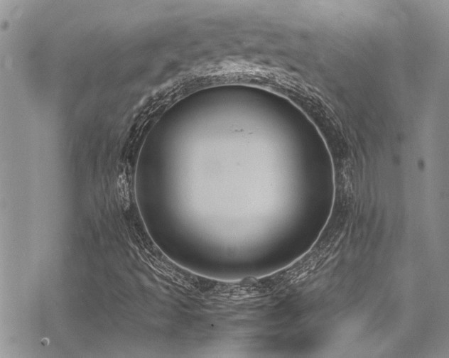 X0000071931493200607071209