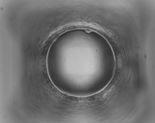 X0000071931494200607071209