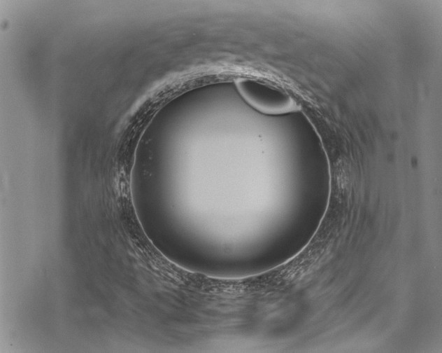 X0000071931495200607071209