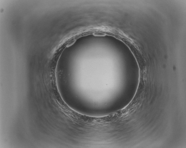 X0000071931496200607071209