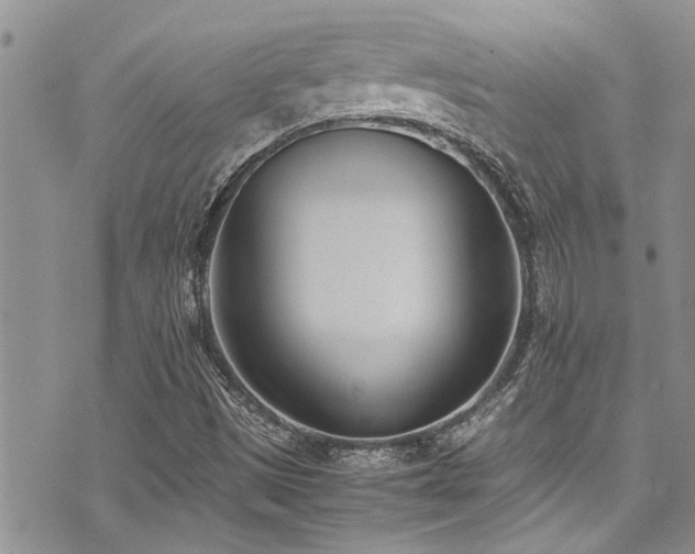 X0000071931497200607071209