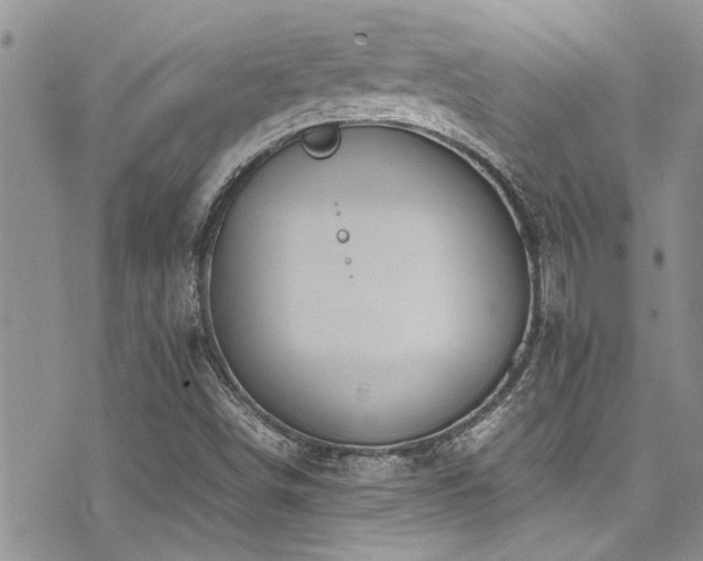 X0000071931498200607071209