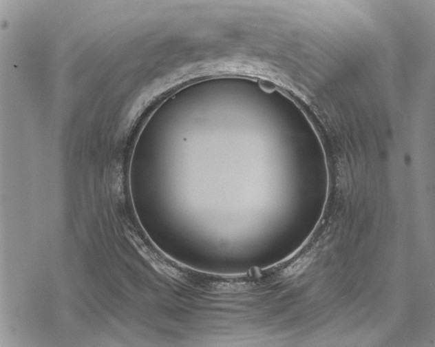 X0000071931499200607071209