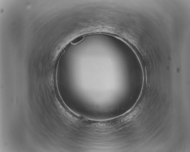 X0000071931500200607071209