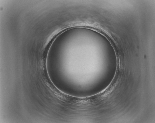 X0000071931501200607071209