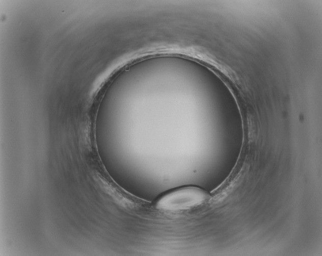 X0000071931502200607071209