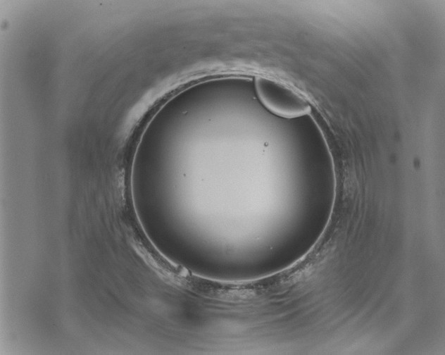 X0000071931503200607071209