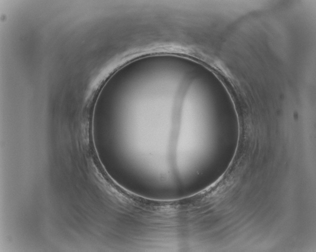 X0000071931504200607071209