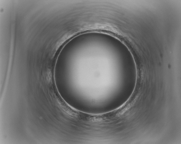 X0000071931505200607071209