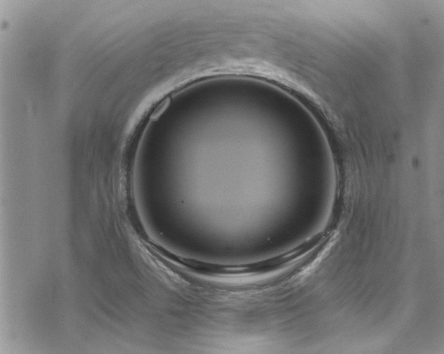 X0000071931506200607071209